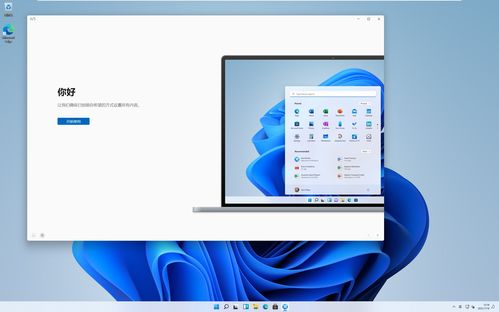 windows11下载官网,window11正式版 下载